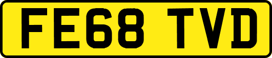 FE68TVD