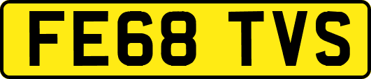 FE68TVS