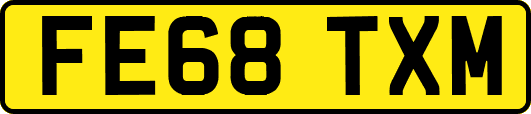 FE68TXM