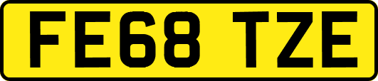FE68TZE