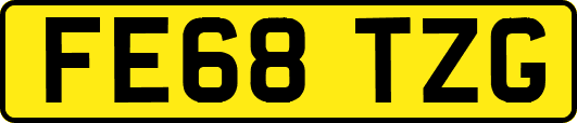 FE68TZG