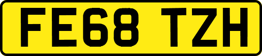 FE68TZH