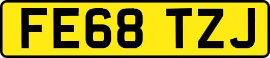FE68TZJ