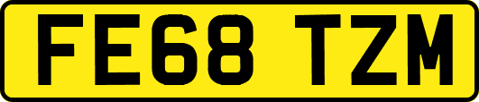 FE68TZM