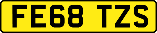 FE68TZS