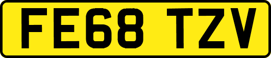 FE68TZV