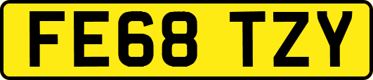 FE68TZY