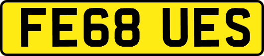 FE68UES
