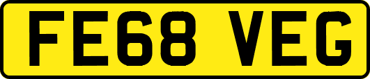 FE68VEG