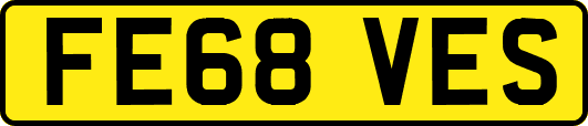 FE68VES
