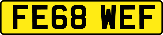 FE68WEF