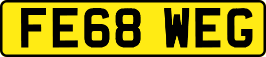 FE68WEG