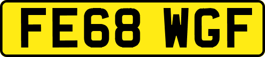 FE68WGF