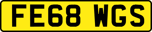 FE68WGS