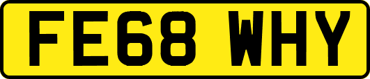 FE68WHY