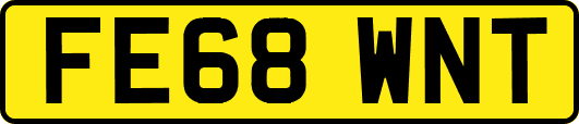 FE68WNT