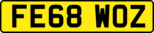 FE68WOZ