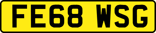 FE68WSG