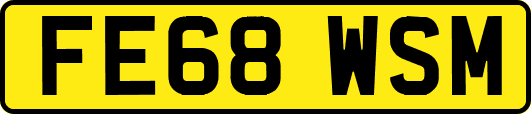 FE68WSM