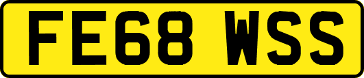 FE68WSS