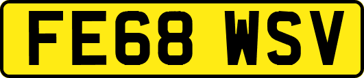 FE68WSV