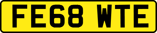 FE68WTE