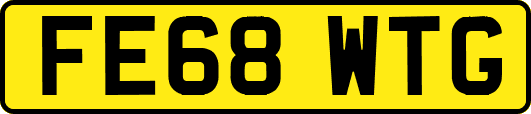 FE68WTG
