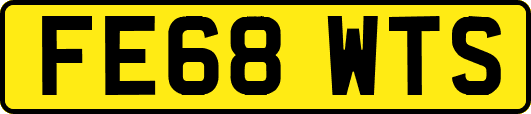 FE68WTS