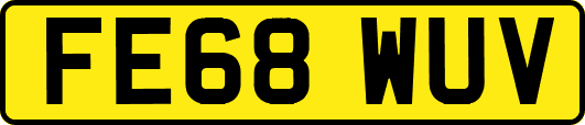 FE68WUV