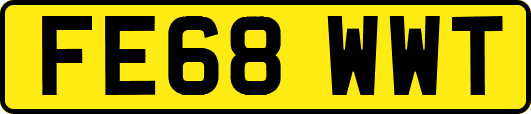 FE68WWT