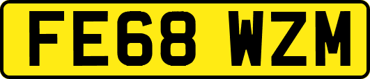 FE68WZM