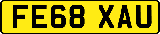 FE68XAU