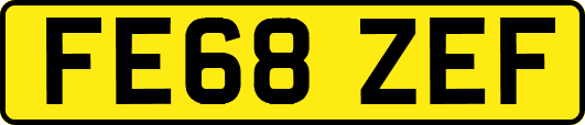 FE68ZEF