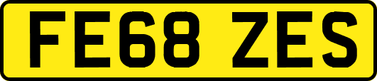 FE68ZES