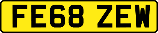 FE68ZEW