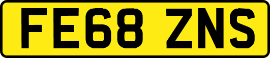 FE68ZNS