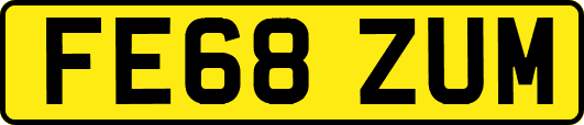 FE68ZUM