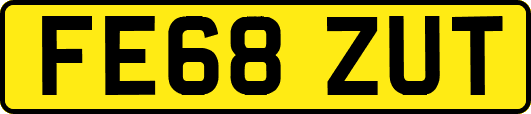 FE68ZUT