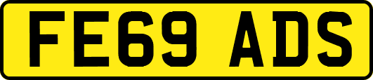 FE69ADS
