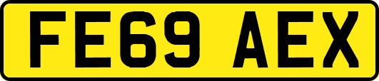 FE69AEX