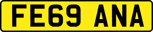 FE69ANA