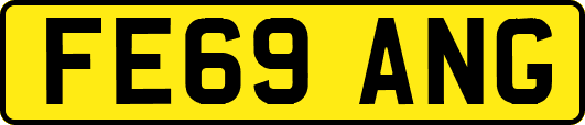 FE69ANG