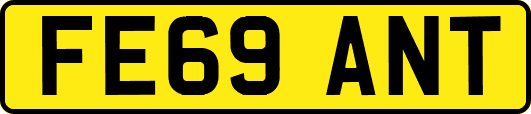 FE69ANT