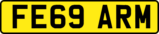 FE69ARM