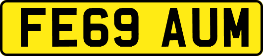 FE69AUM