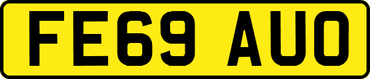 FE69AUO