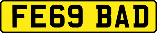 FE69BAD