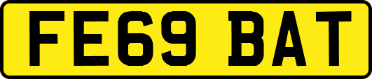 FE69BAT