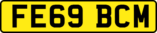 FE69BCM