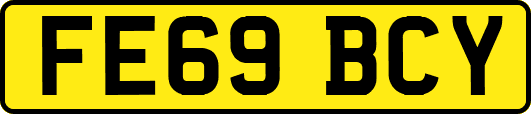 FE69BCY